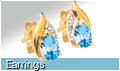 Earring jewellery